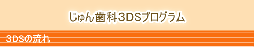 ３DSプログラム