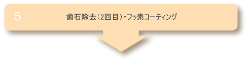 歯石除去・フッ素コーティング